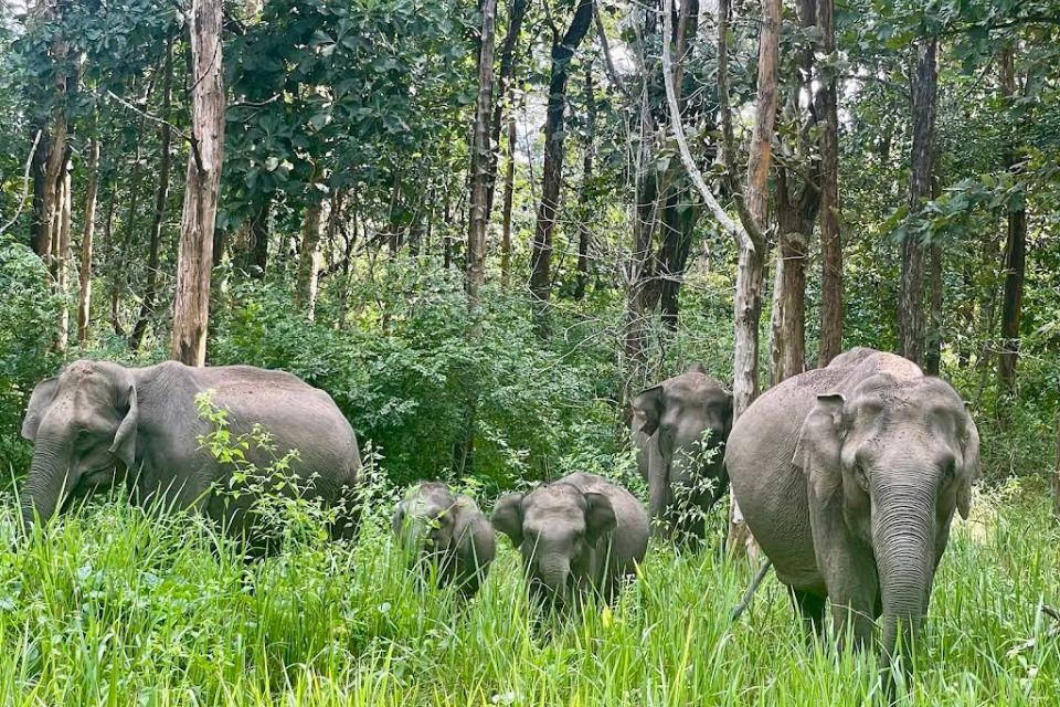 Nagarhole National Park